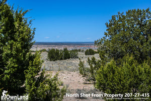 1.09 Acre Property PROMO $2,575, ONLY $100 down, $80/month
