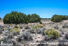 1.09 Acre Property PROMO $2,575, ONLY $100 down, $80/month
