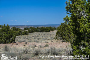 1.09 Acre Property PROMO $2,575, ONLY $100 down, $80/month