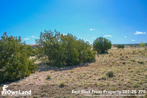 Arizona Park Estates, Sanders AZ, 1.15 Acre Property PROMO $7,795, ONLY $150 down, $110/month