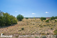 Arizona Park Estates, Sanders AZ, 1.15 Acre Property PROMO $7,795, ONLY $150 down, $110/month