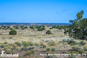 Arizona Park Estates, Sanders AZ, 1.15 Acre Property PROMO $7,795, ONLY $150 down, $110/month