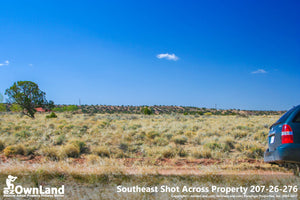 Arizona Park Estates, Sanders AZ, 1.15 Acre Property PROMO $7,795, ONLY $150 down, $110/month