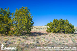 Arizona Park Estates, Sanders AZ, 1.15 Acre Property PROMO $7,795, ONLY $150 down, $110/month