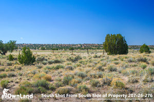 Arizona Park Estates, Sanders AZ, 1.15 Acre Property PROMO $7,795, ONLY $150 down, $110/month